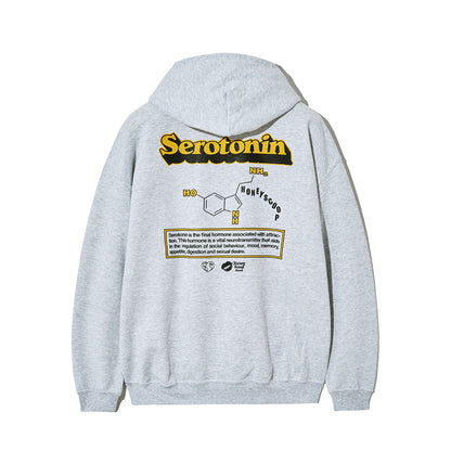 SEROTONIN HOODED SWEATSHIRT GREY