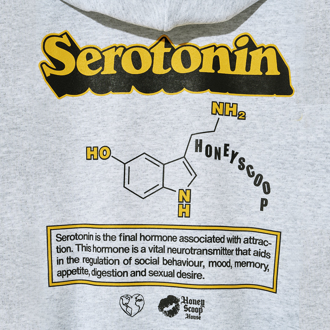 SEROTONIN HOODED SWEATSHIRT GREY