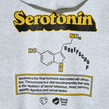 SEROTONIN HOODED SWEATSHIRT GREY